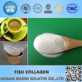 Bone Collagen Powder